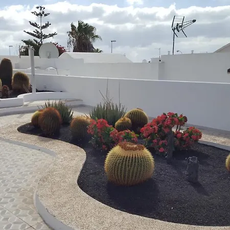 Panelo Cactus Puerto del Carmen (Lanzarote)