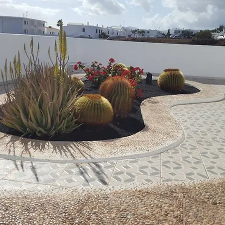 Panelo Cactus * Puerto del Carmen (Lanzarote)